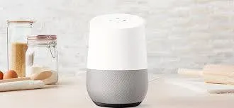 GGL100 Google Home