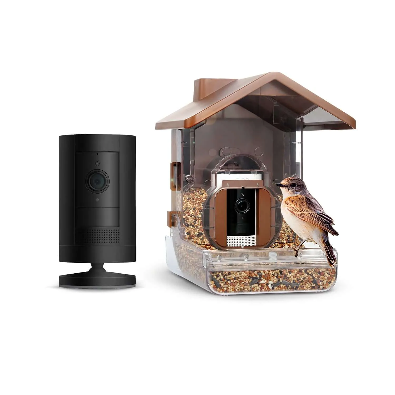 Ring Stick Up Cam (Battery)   Wasserstein Bird Feeder Camera Case Bundle