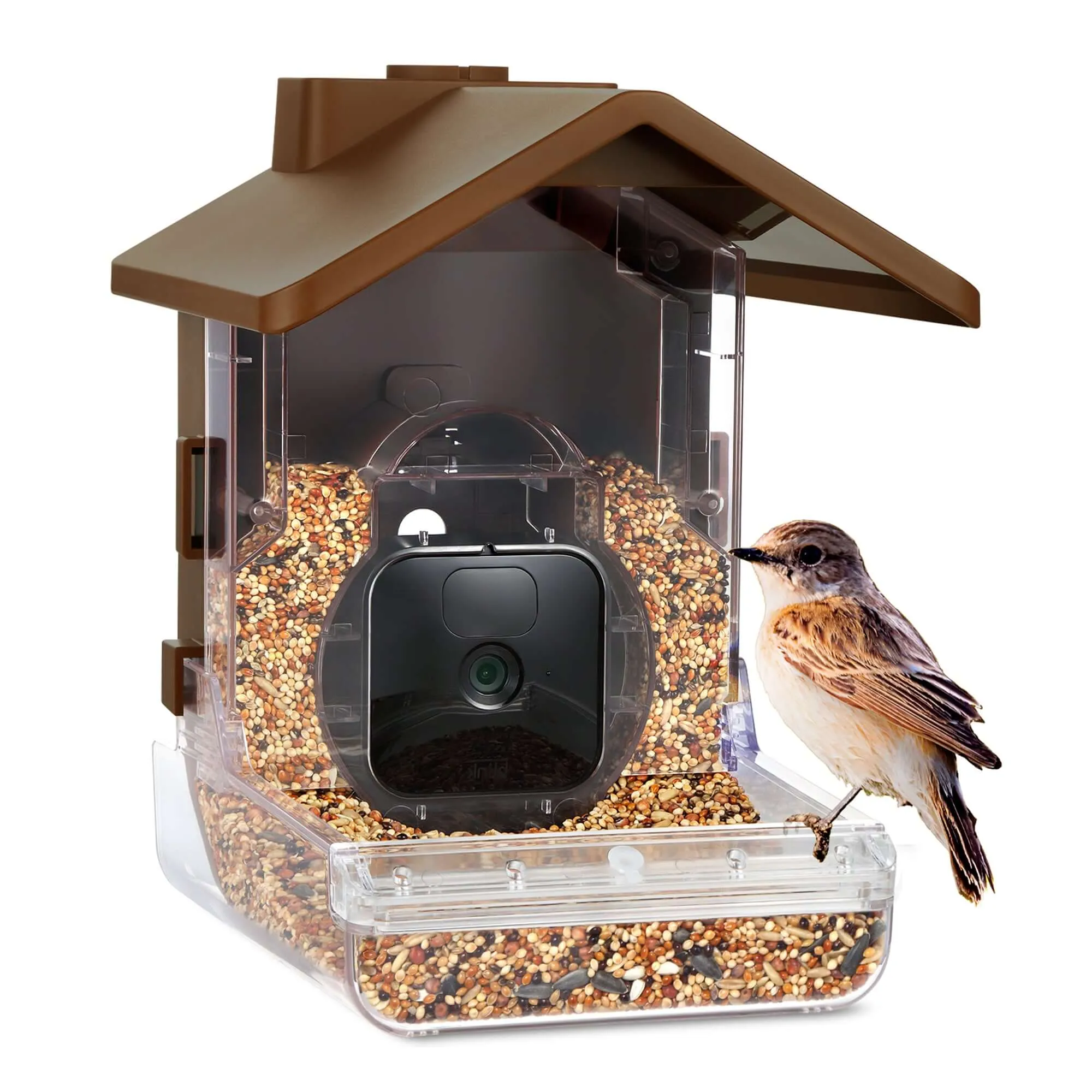 Ring Stick Up Cam (Battery)   Wasserstein Bird Feeder Camera Case Bundle