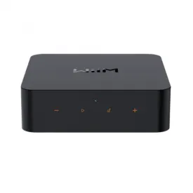 WiiM Pro Multi-Room Music Streamer